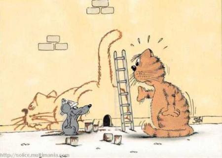 chat
